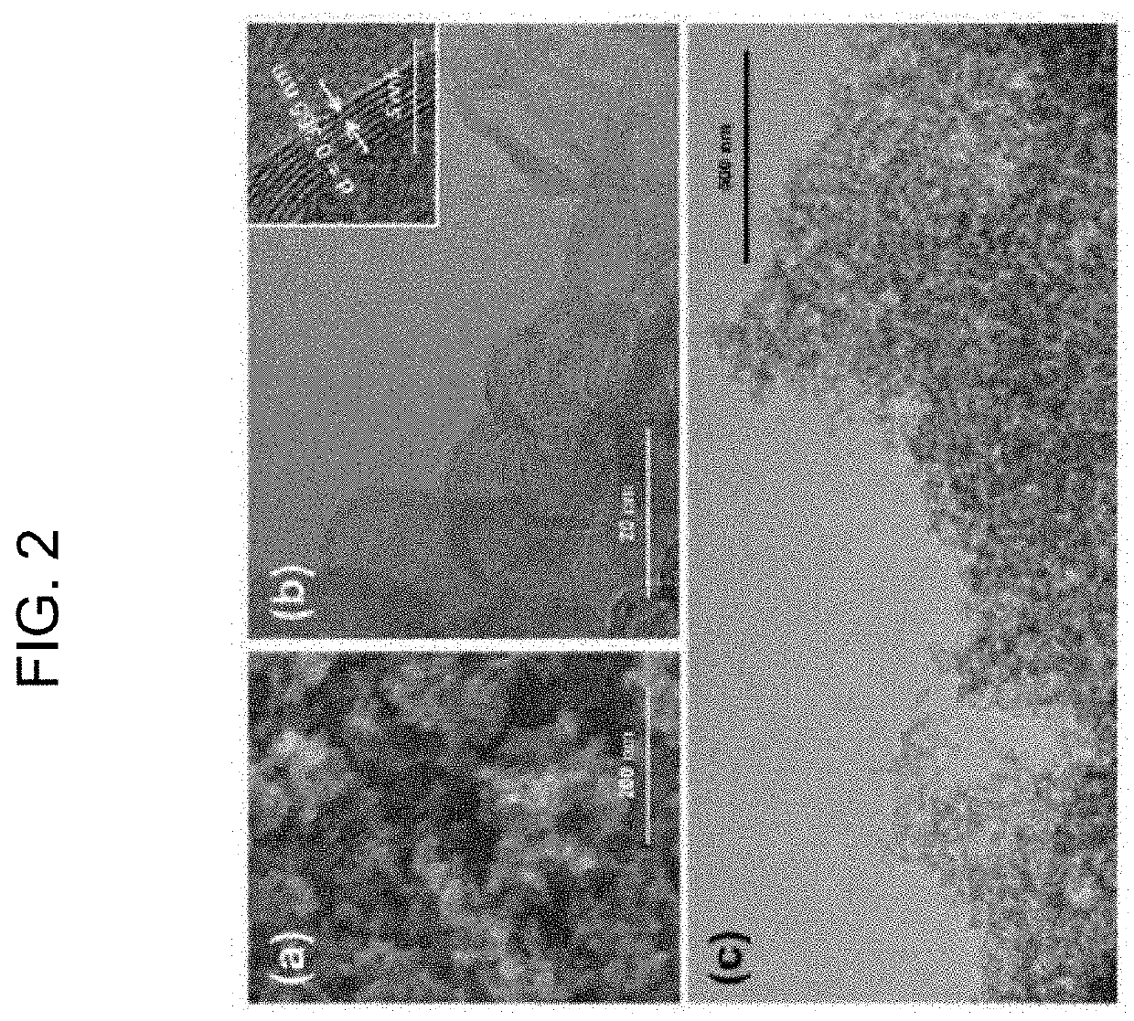 Method for producing graphene nanospheres