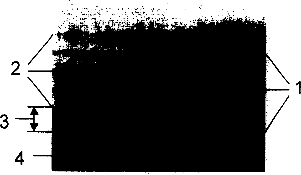 Method for preparing optical thin film with gold silver nanometer particle and dispersal oxide