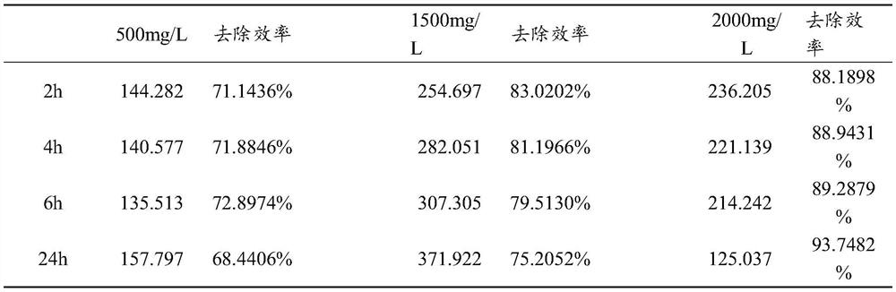 Lead-resistant bacterium and application thereof