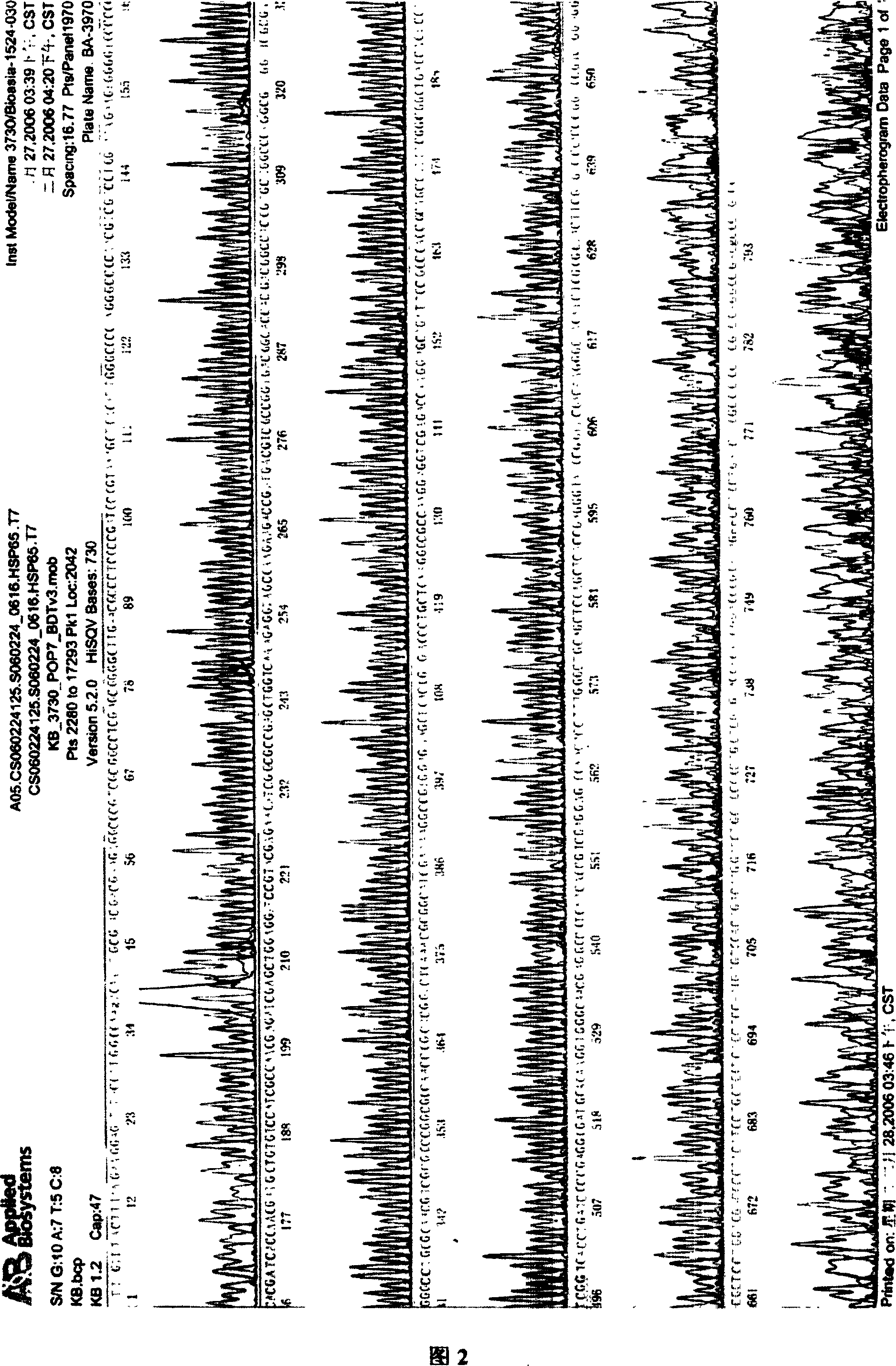 Immuno-modulatory agents with function of preventing and curing type 2 diabetes