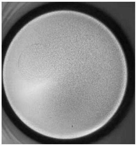 Cleaning method for OLED evaporation equipment tantalum crucible surface material residues