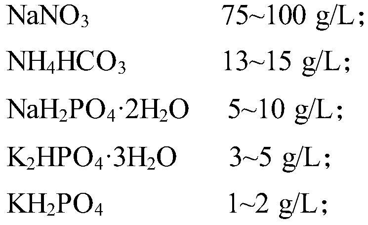 Algae symbiotic bacterium composition, phycomycete co-culture system and microalgae culture method