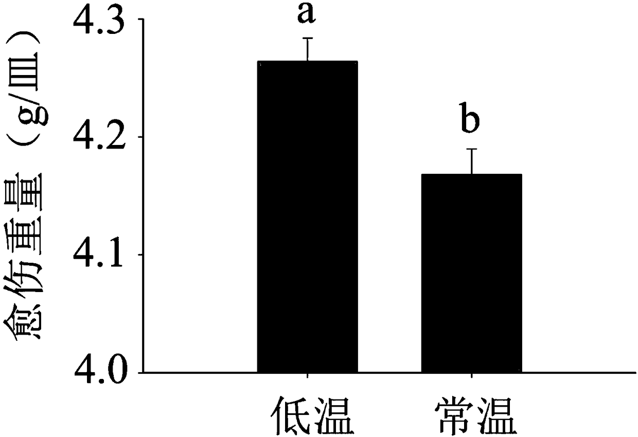 Method for increasing barley microspore culture callus yield and green seedling yield