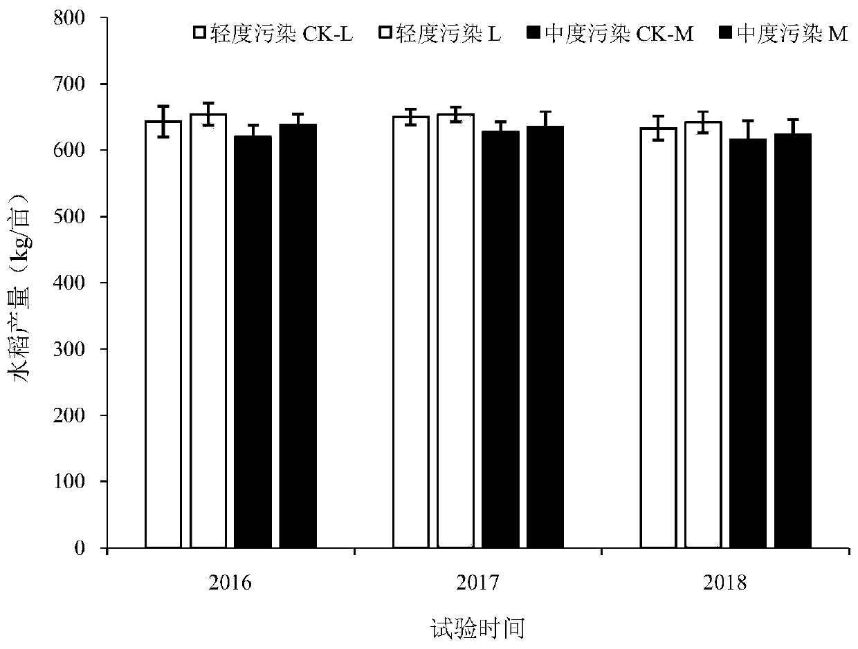 Passivating agent and repairing method for in situ repairing of heavy metal cadmium in soil