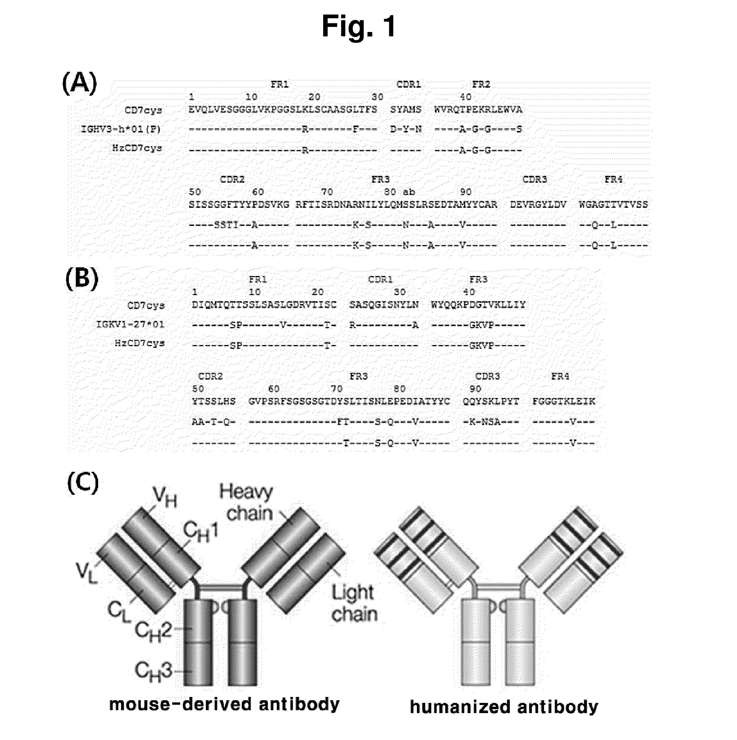 T-cell-specific humanized single fragment antibody delivery vehicle