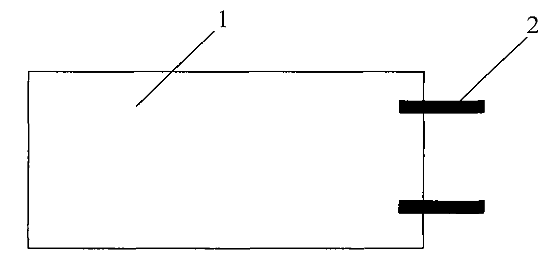 Multi-effect power module for electric vehicle