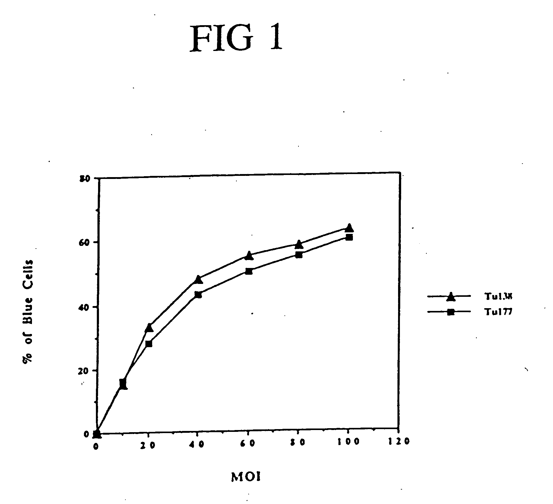 Methods and compositions for the diagnosis and treatment of cancer