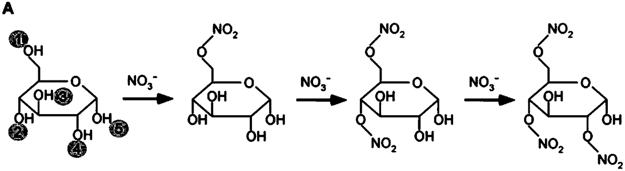 Multifunctional composite fruit and vegetable nitric oxide donor nutrient and preparation method thereof