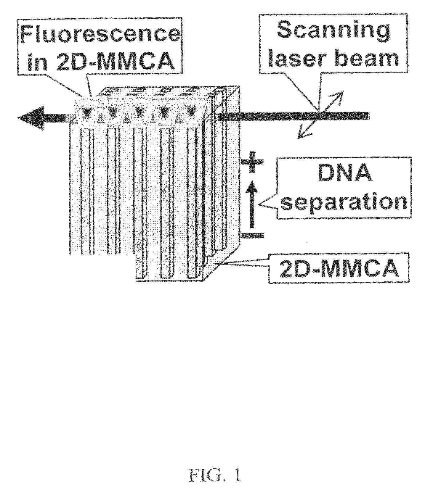 Massively parallel 2-dimensional capillary electrophoresis