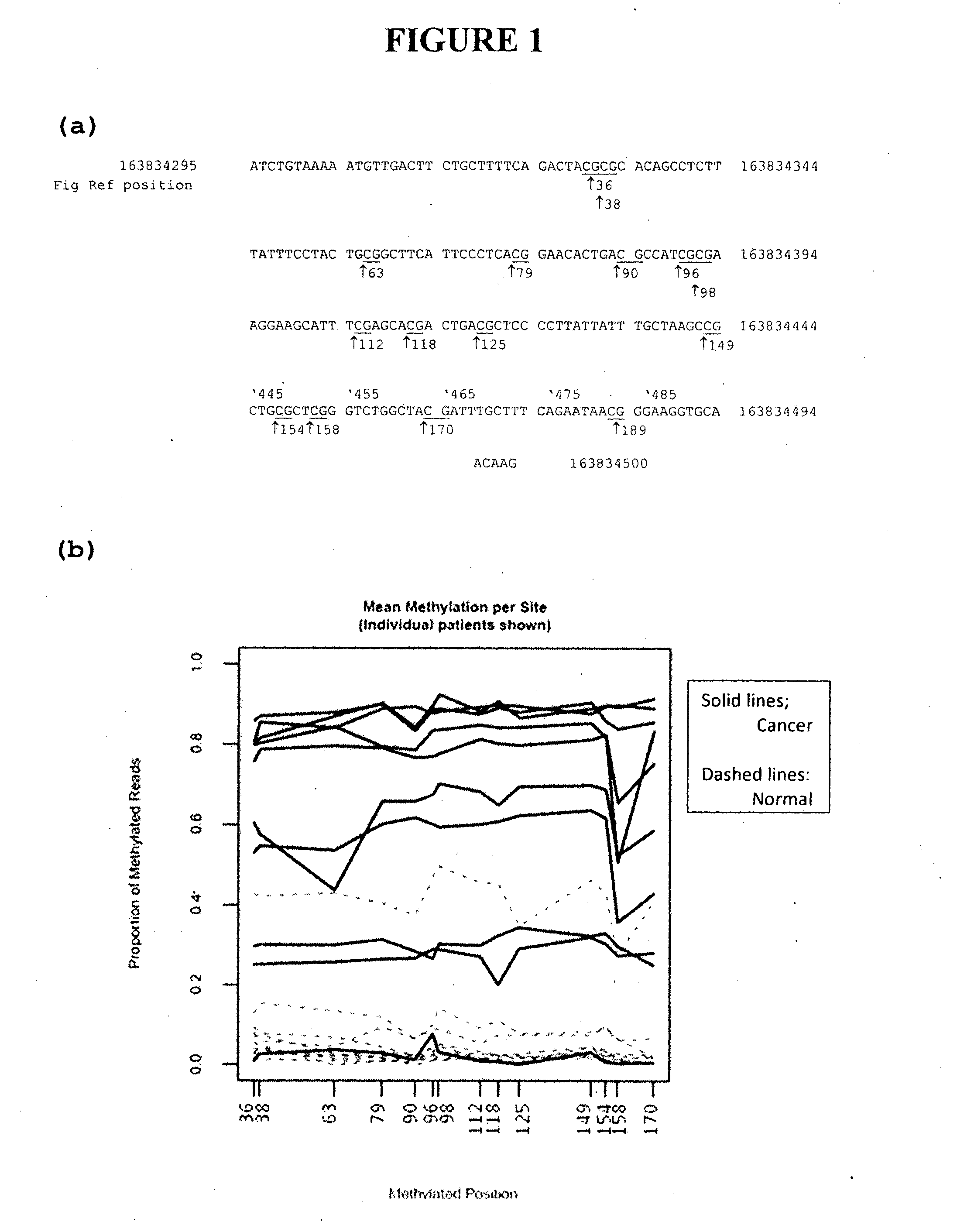 DNA methylation in colorectal and breast cancer diagnostic methods