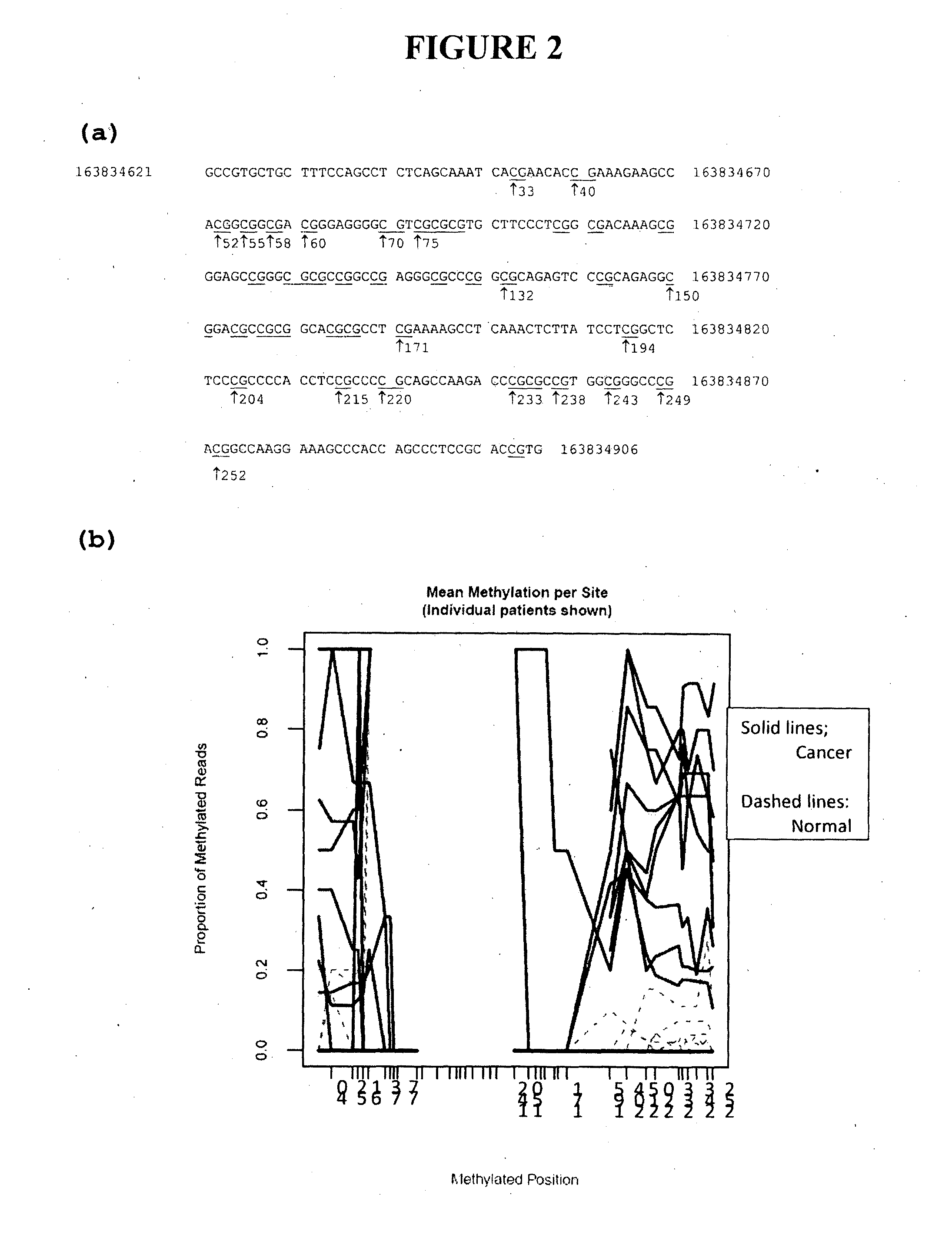 DNA methylation in colorectal and breast cancer diagnostic methods