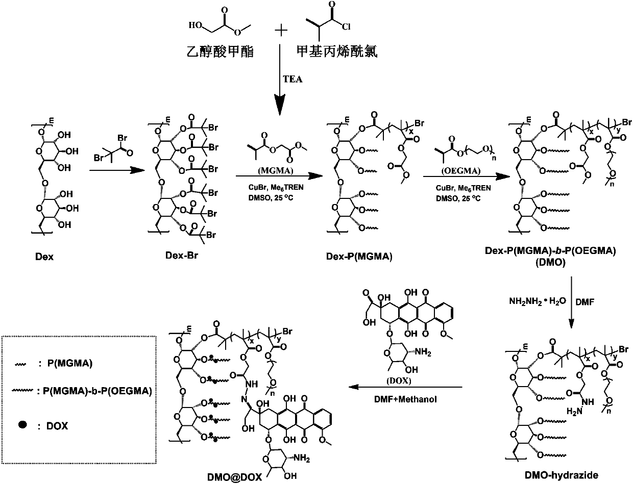 Preparation method of pH-responsive amphiphilic rod-like adriamycin polymer prodrug