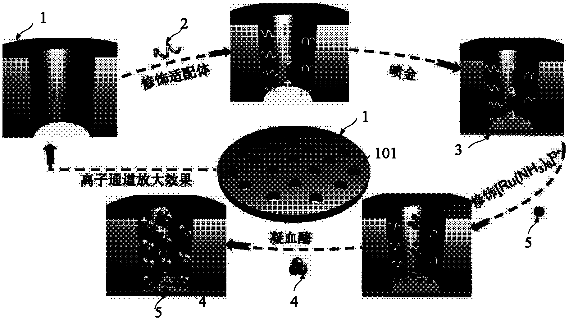 Method for detecting thrombin through biosensor prepared based on ionic channel and aptamer