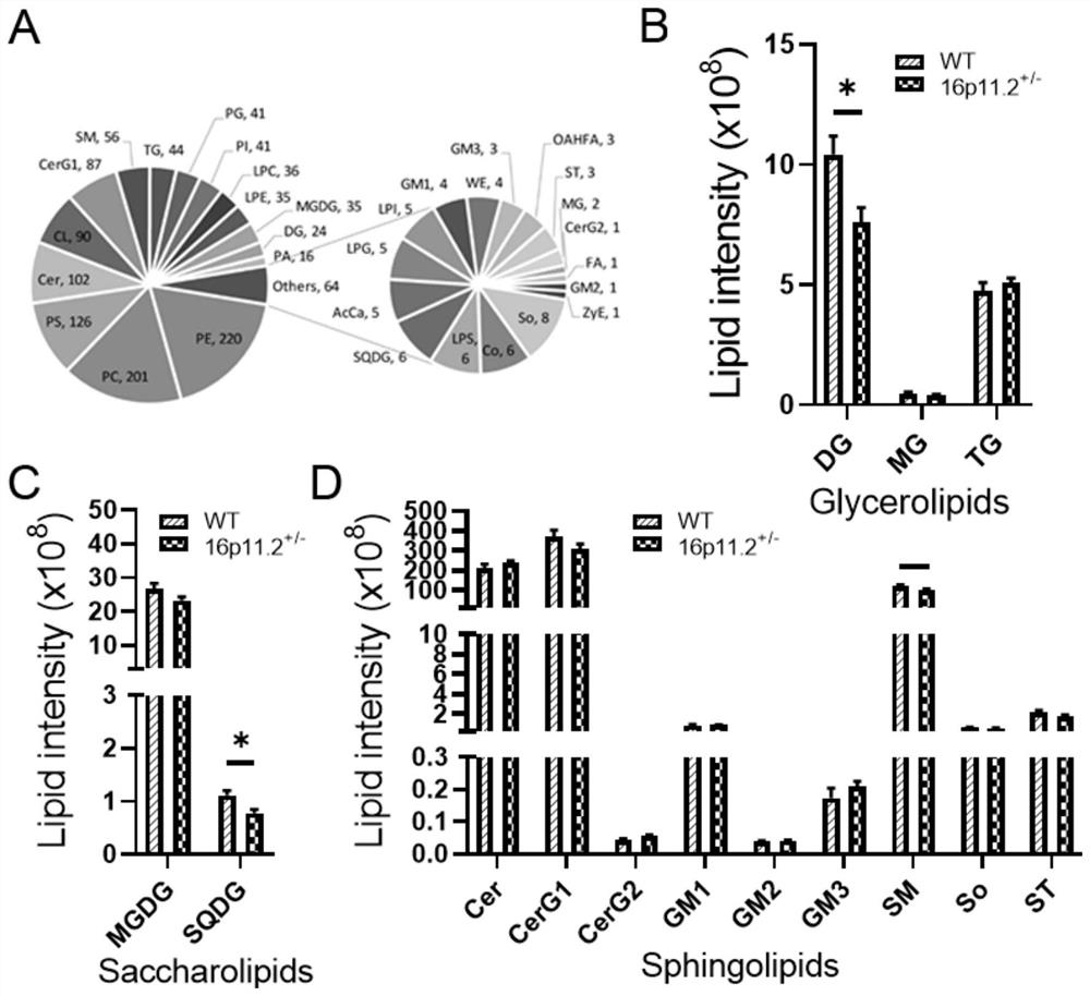 Lipid biomarker for autism and application of lipid biomarker