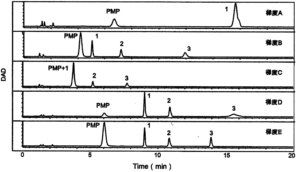 Method for identifying biomarker of esophageal cancer and detection kit thereof