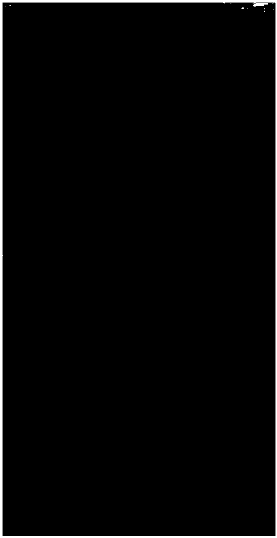 A kind of quality standard detection method of 20(r)-ginsenoside rg3