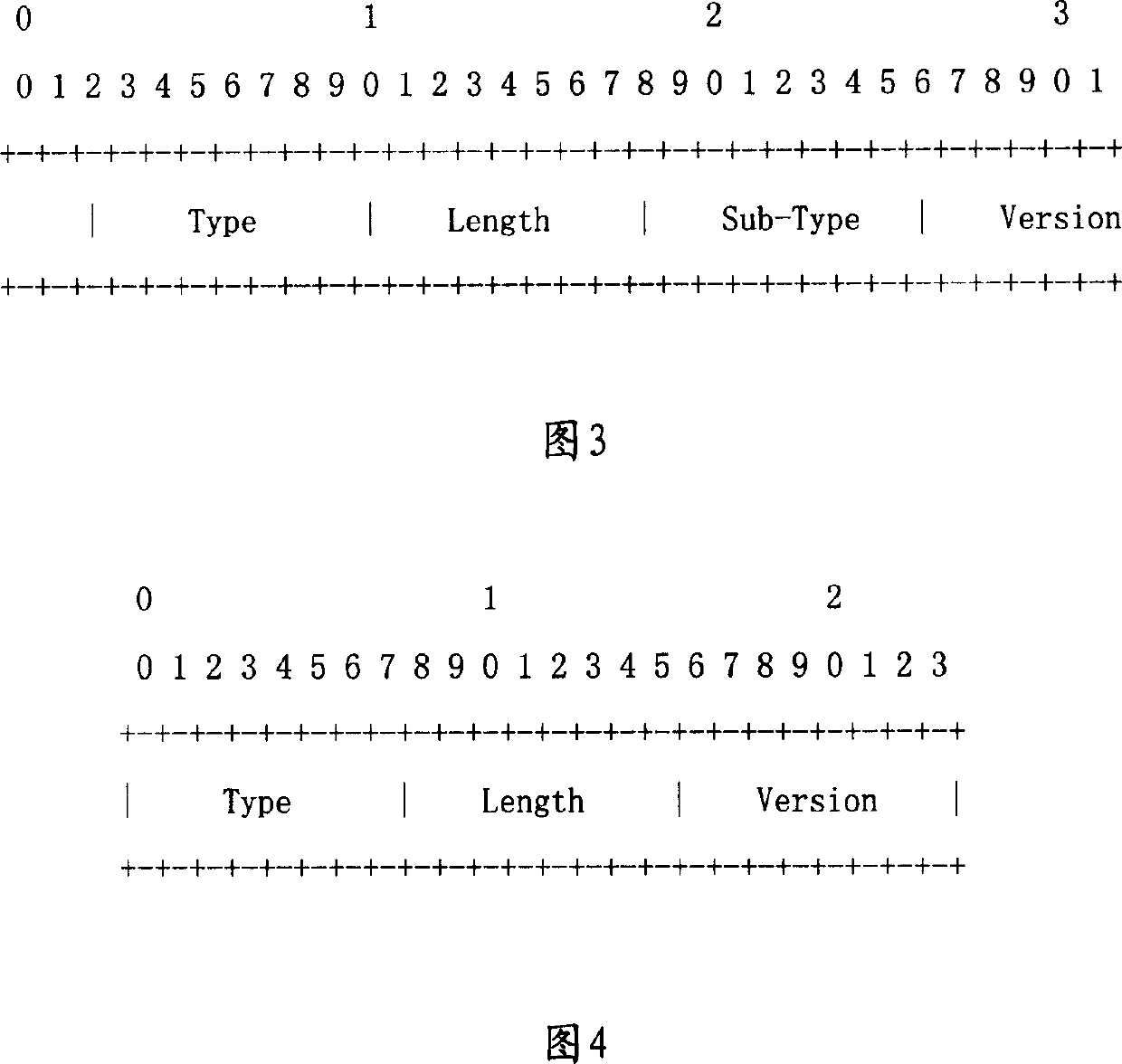 Method for realizing protocol edition compatible between apparatuses in mobile IP network