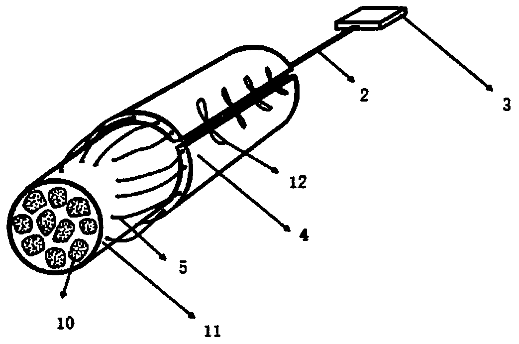 Implantable peripheral nerve electrode