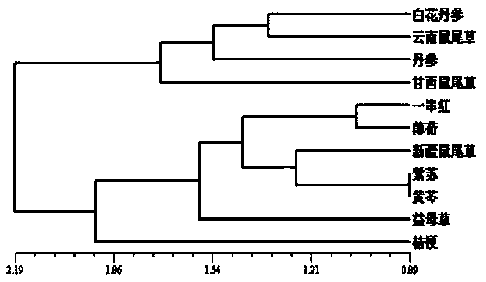 Method for identifying labiatae medicinal plants by using salvia miltiorrhiza EST-SSR markers