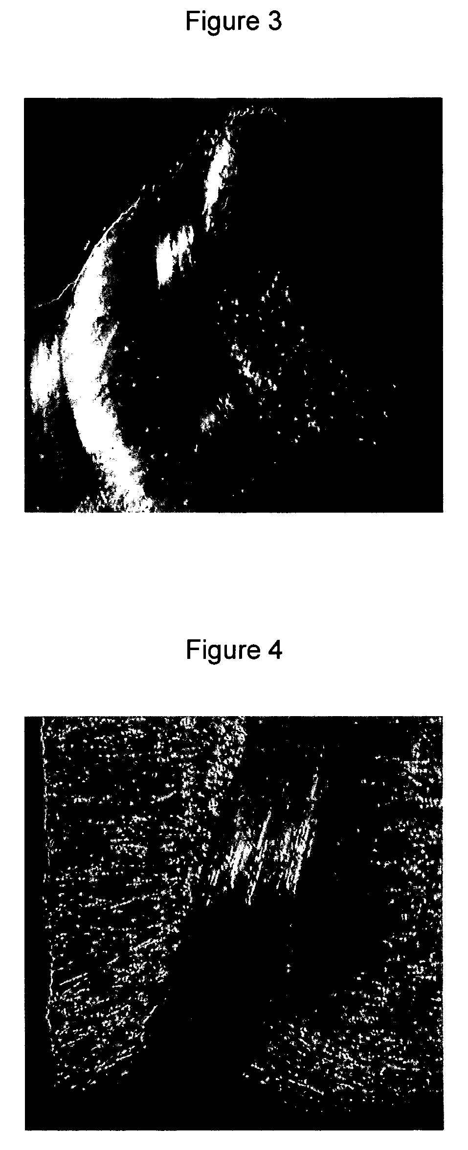 Unitized fibrous concrete reinforcement