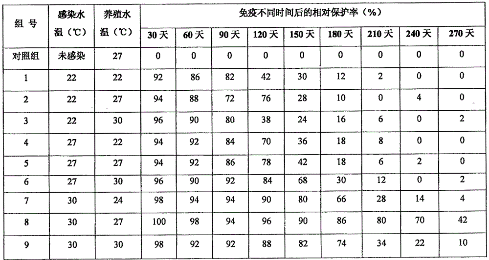 Production method of cryptocryon irritans-resistant acanthopagrus schlegelii fries