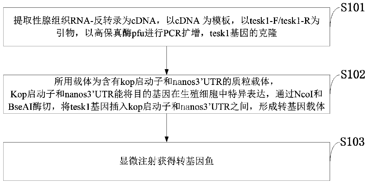 Method for increasing propagation force of milters through specific high expression gene in gonadal tissue