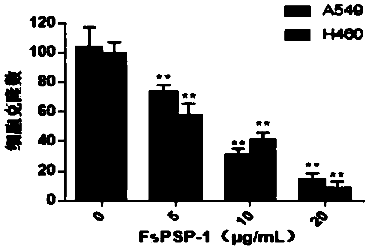 Application of purple sweet potato polysaccharides in preparation of lung cancer resistant drugs