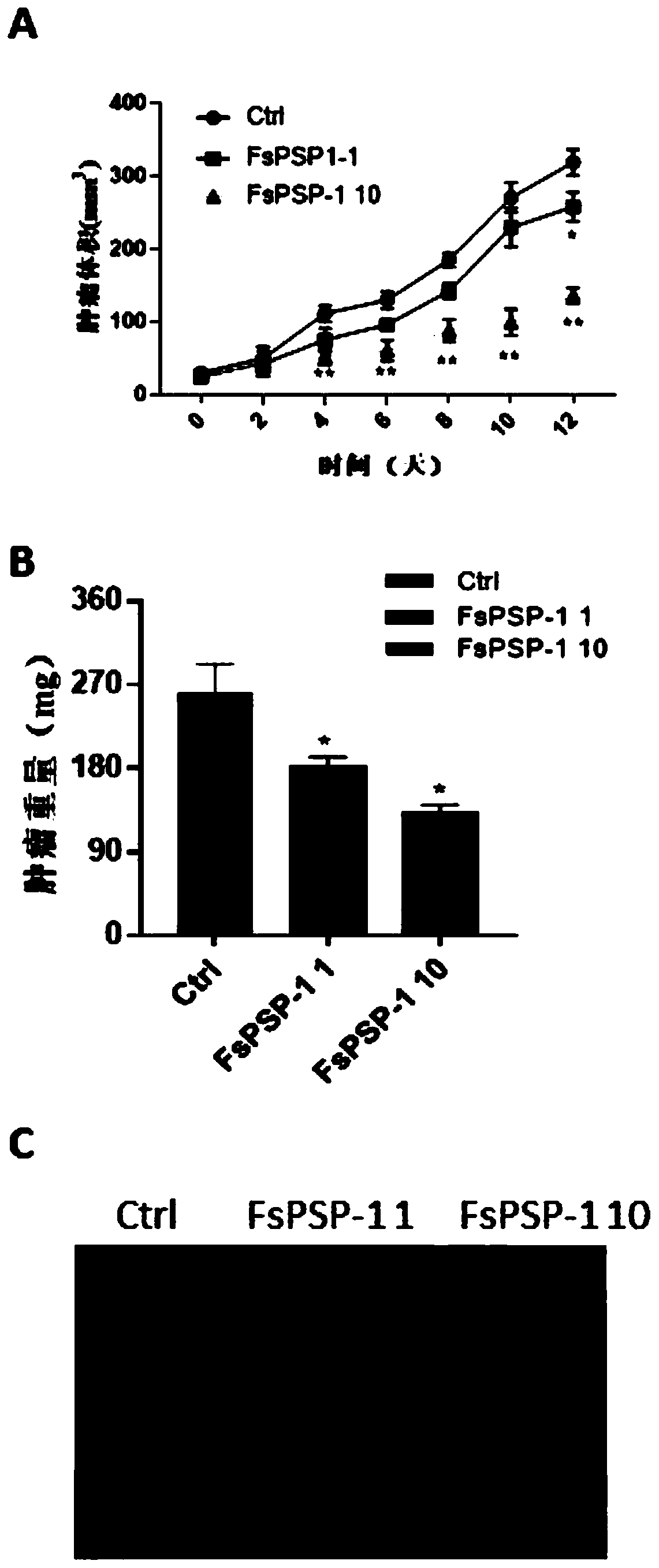 Application of purple sweet potato polysaccharides in preparation of lung cancer resistant drugs