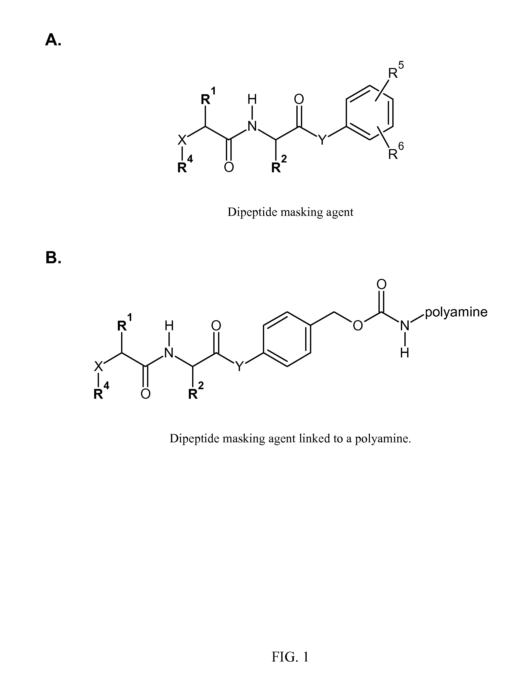 Polyconjugates for Delivery of RNAi triggers to Tumor Cells In Vivo