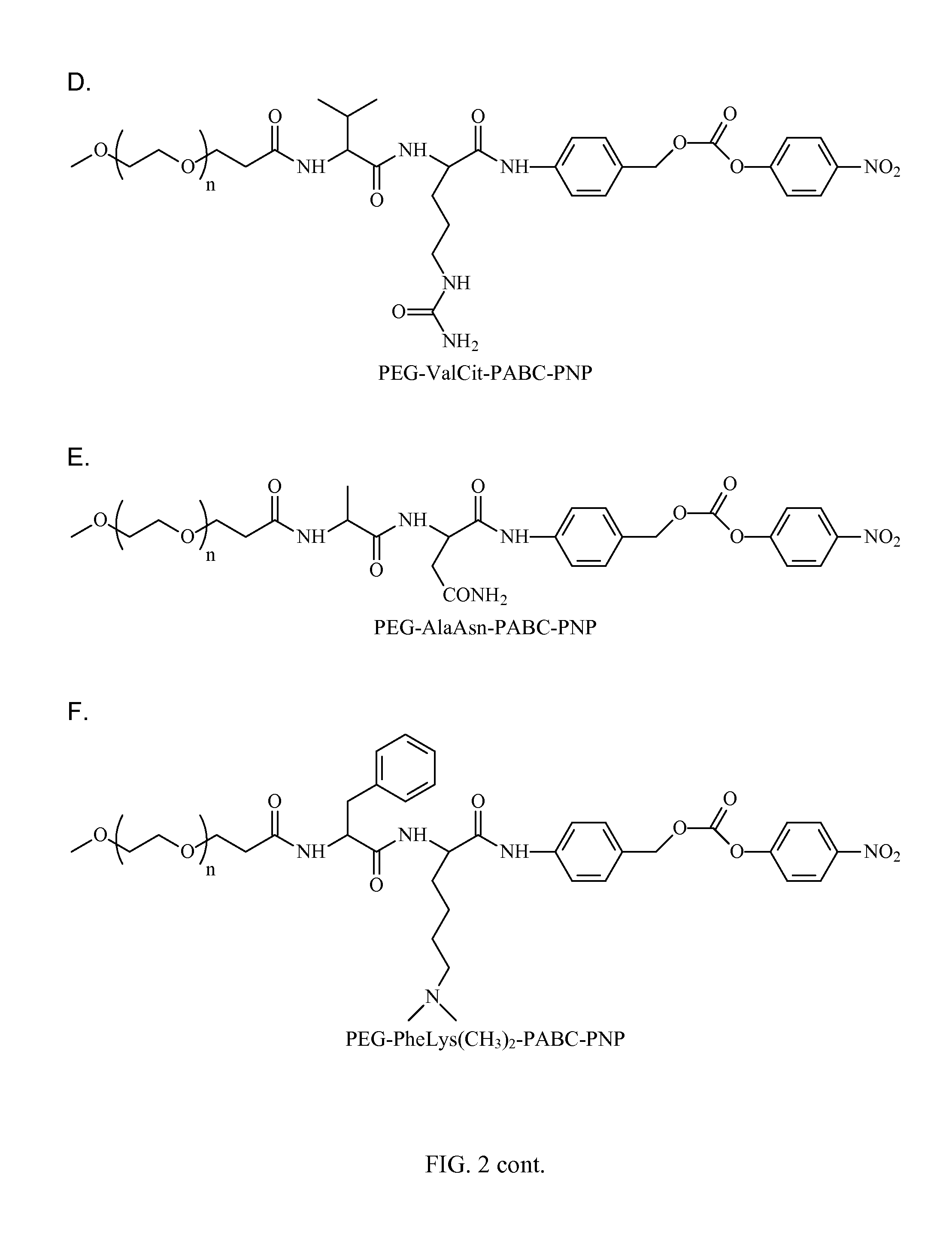 Polyconjugates for Delivery of RNAi triggers to Tumor Cells In Vivo