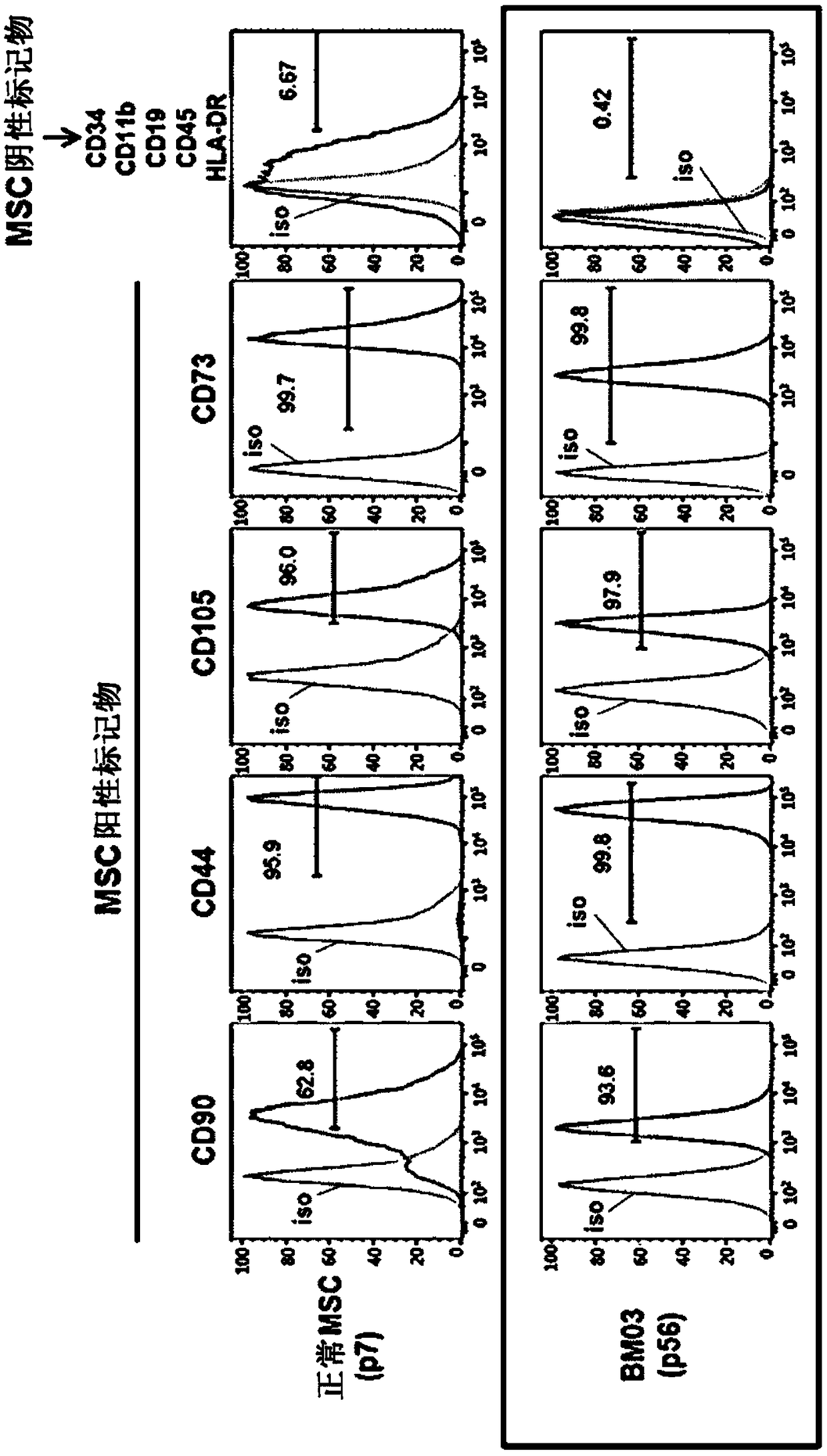 Mesenchymal stem cell expressing trail and cd, and use thereof