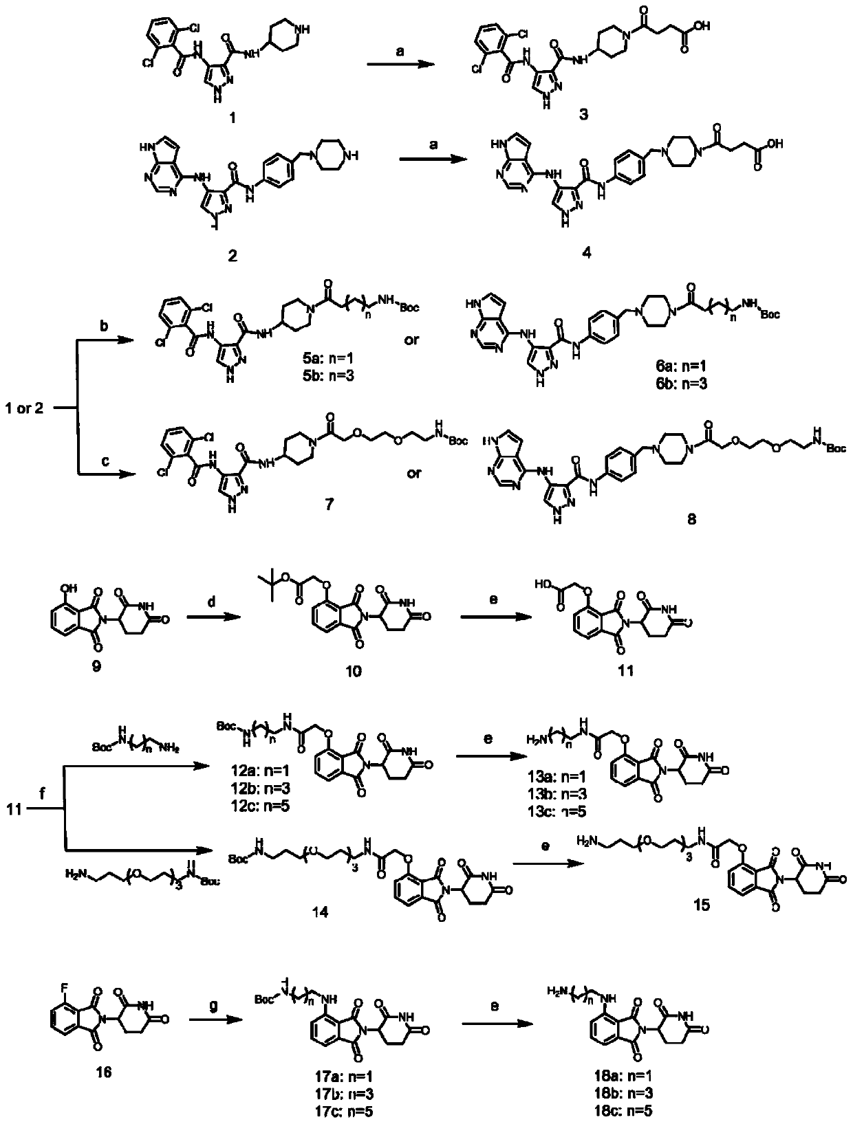 Compound for selectively degrading CDK subtype in targeted manner and application thereof