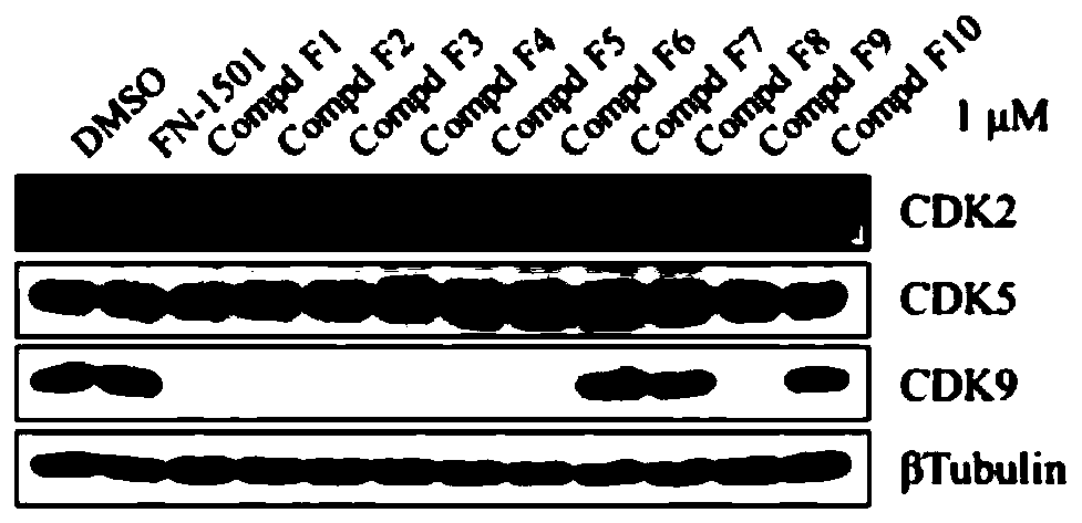 Compound for selectively degrading CDK subtype in targeted manner and application thereof