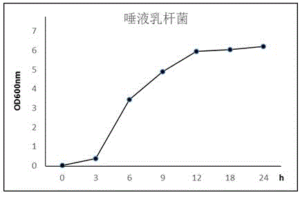 Lactobacillus salivarius XJP2 and application thereof