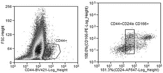 A method for isolating and culturing porcine intestinal stem cells