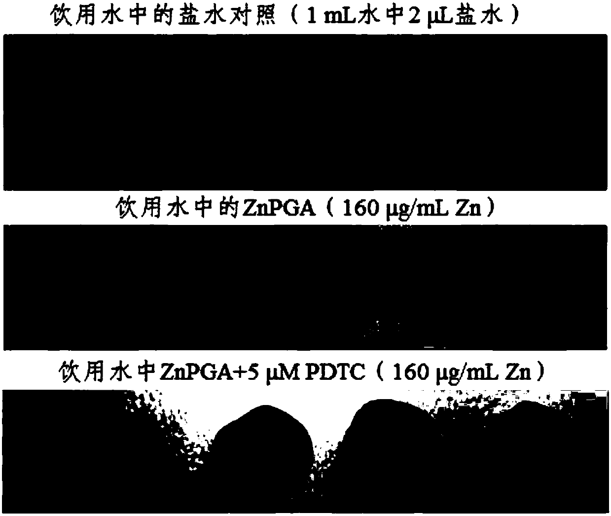 ZINC-[Gamma]-PGA COMPOSITIONS AND METHODS FOR TREATING CANCER