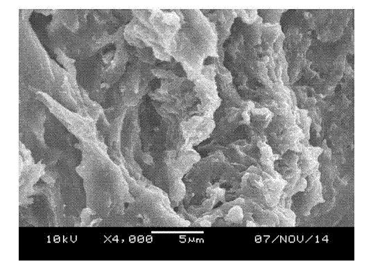 Polyvinyl chloride/graphene nanocomposite and preparation method thereof