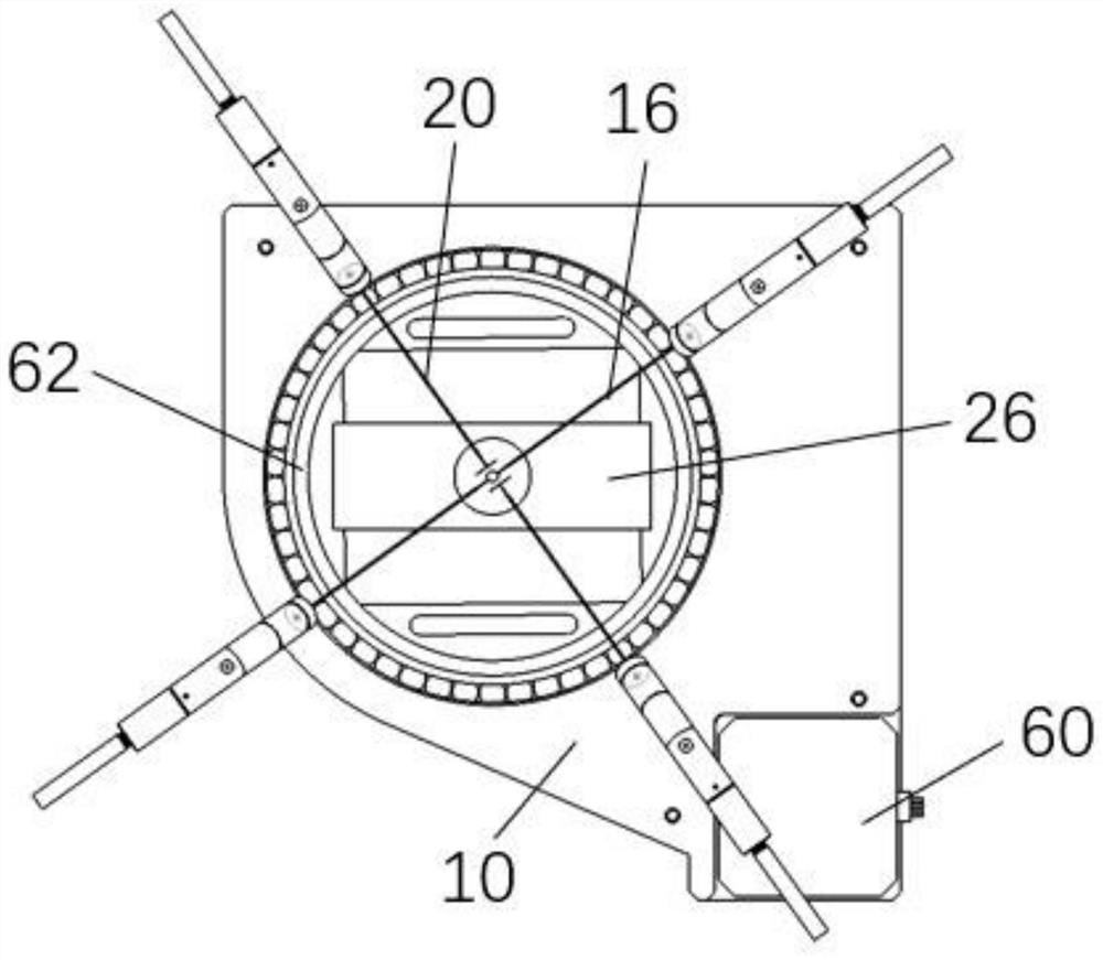 Egg cell multi-effect accurate electrical stimulation device and method thereof