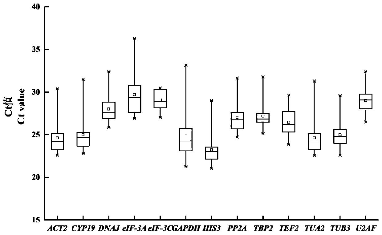 Fluorescent quantitative internal reference genes of elymus sibiricus under different stress conditions and primer and application thereof