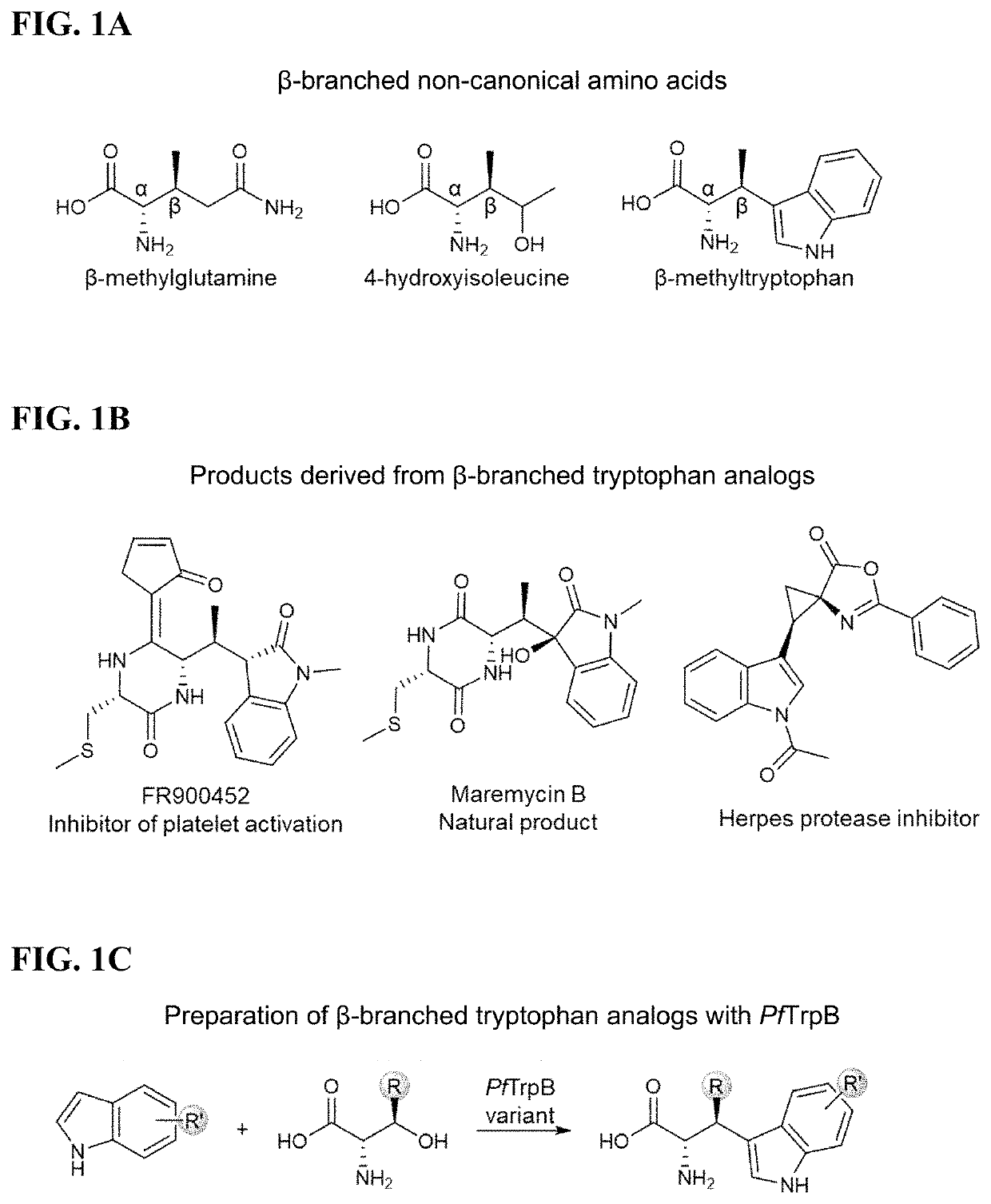 Beta-substituted non-canonical amino acids