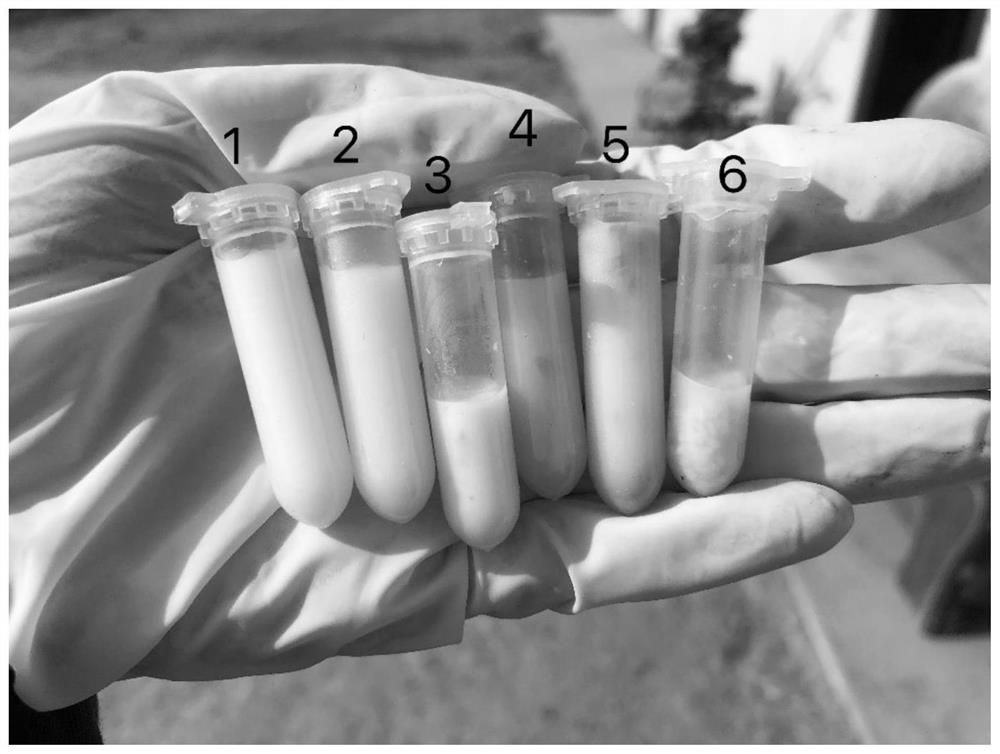 Emodin methyl ether microemulsion and application thereof