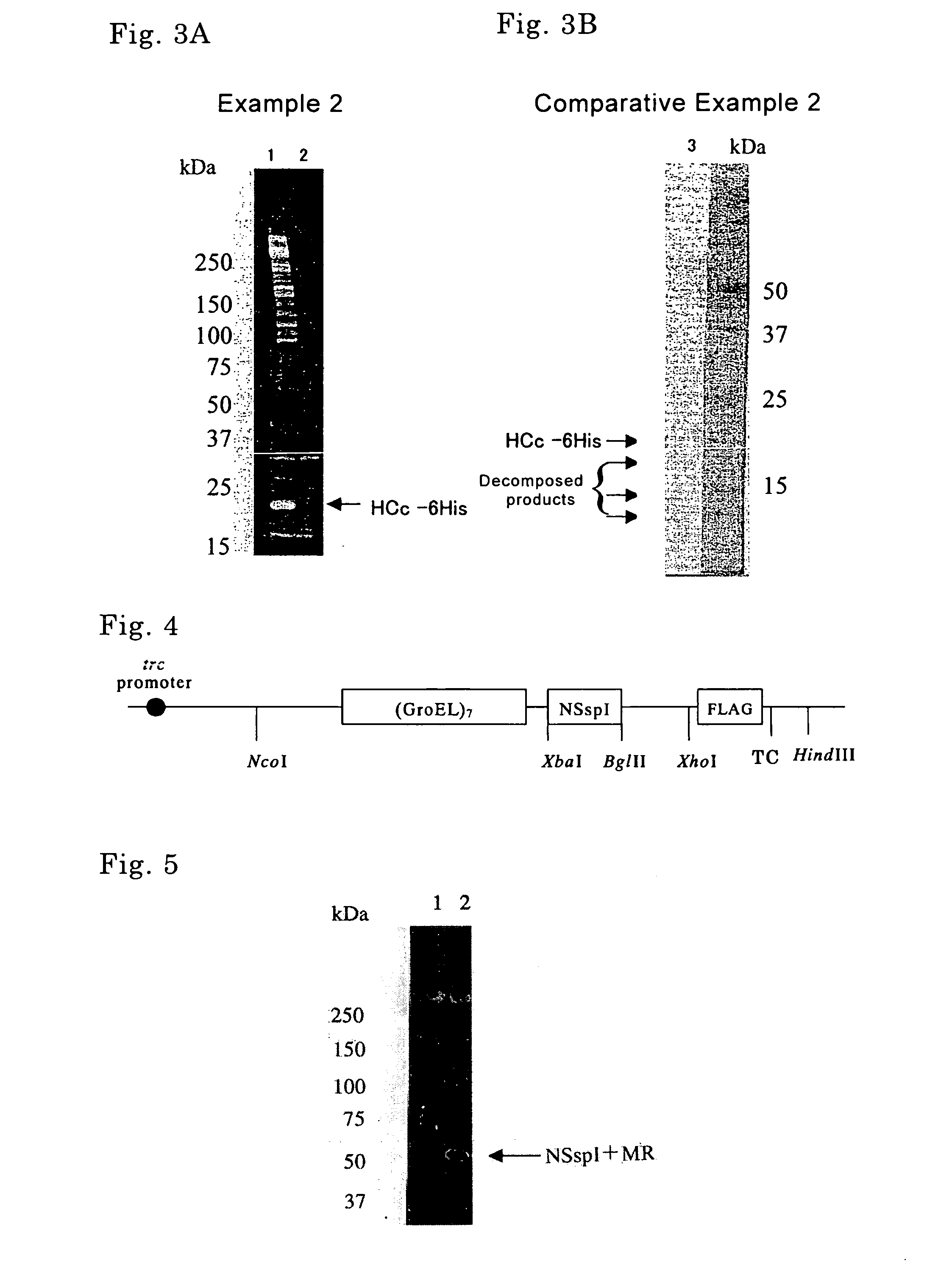 Method of producing target protein, fusion protein and gene thereof, protein consisting of partial sequence of intein and gene thereof, expression vector, and transformant