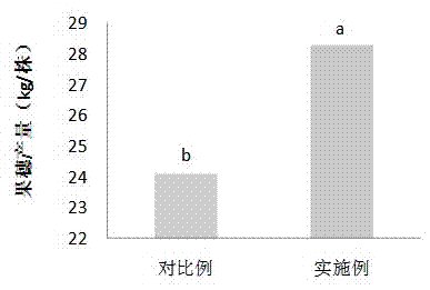 Synchronous nutrition fertilizers, preparation methods thereof and applications thereof