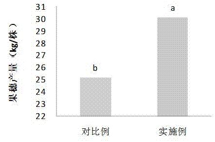 Synchronous nutrition fertilizers, preparation methods thereof and applications thereof