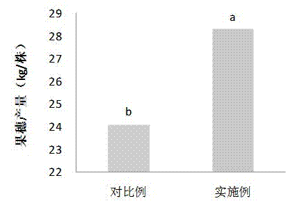 Synchronous nutrition fertilizers, preparation methods thereof and applications thereof