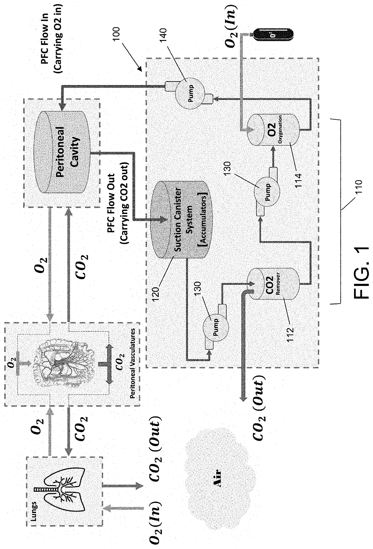 Peritoneal oxygenation system and method