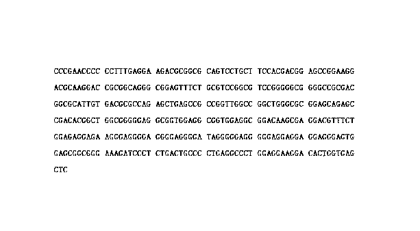 Efficient mammalian cell gene recombination protein expression vector