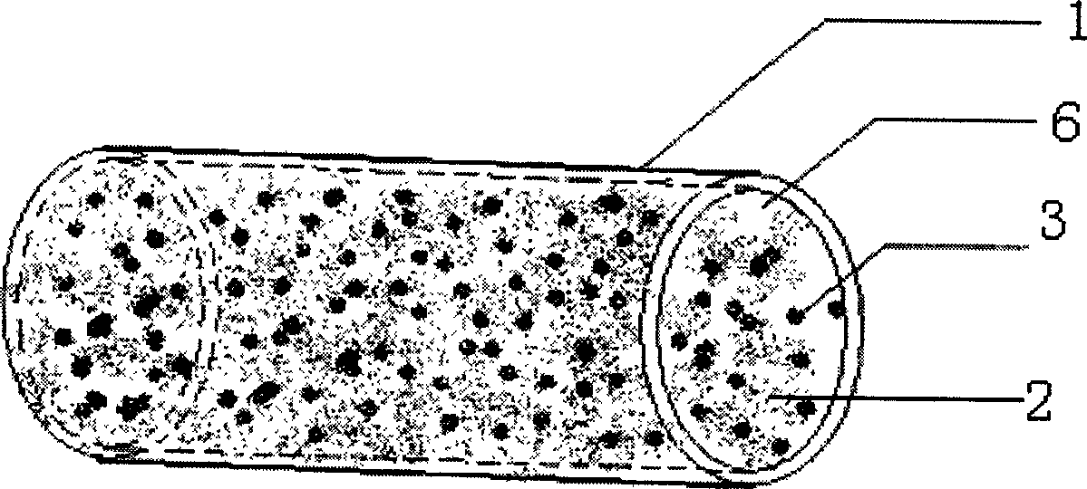 Composite structured tissue engineering cartilage graft and its preparation method