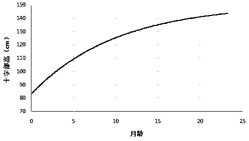 Method for regulating daily ration of Simmental-Holstein crossbred cattle by creating body size growth curve