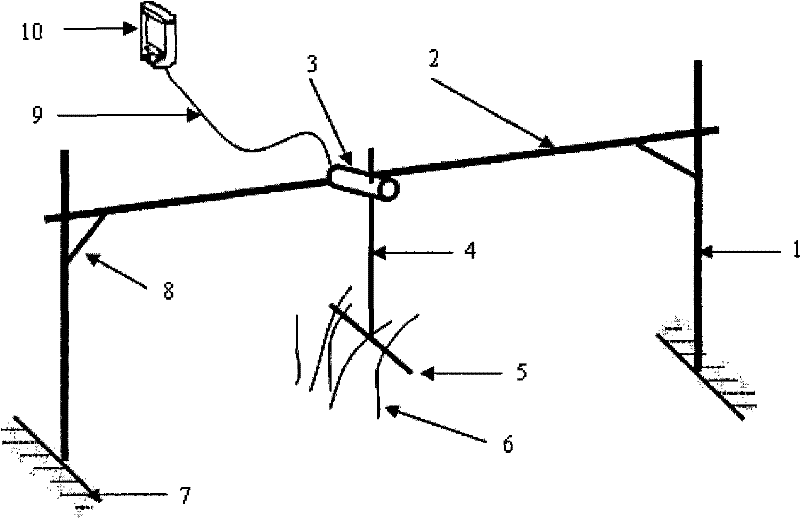 Biomass living body detection device and method based on moment